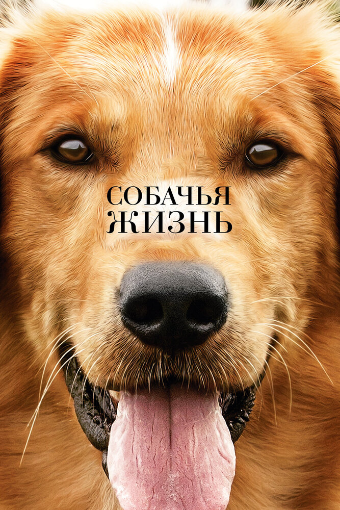 Собачья жизнь (2017) постер