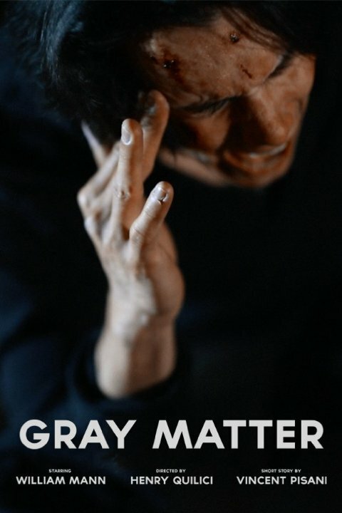 Gray Matter (2015) постер