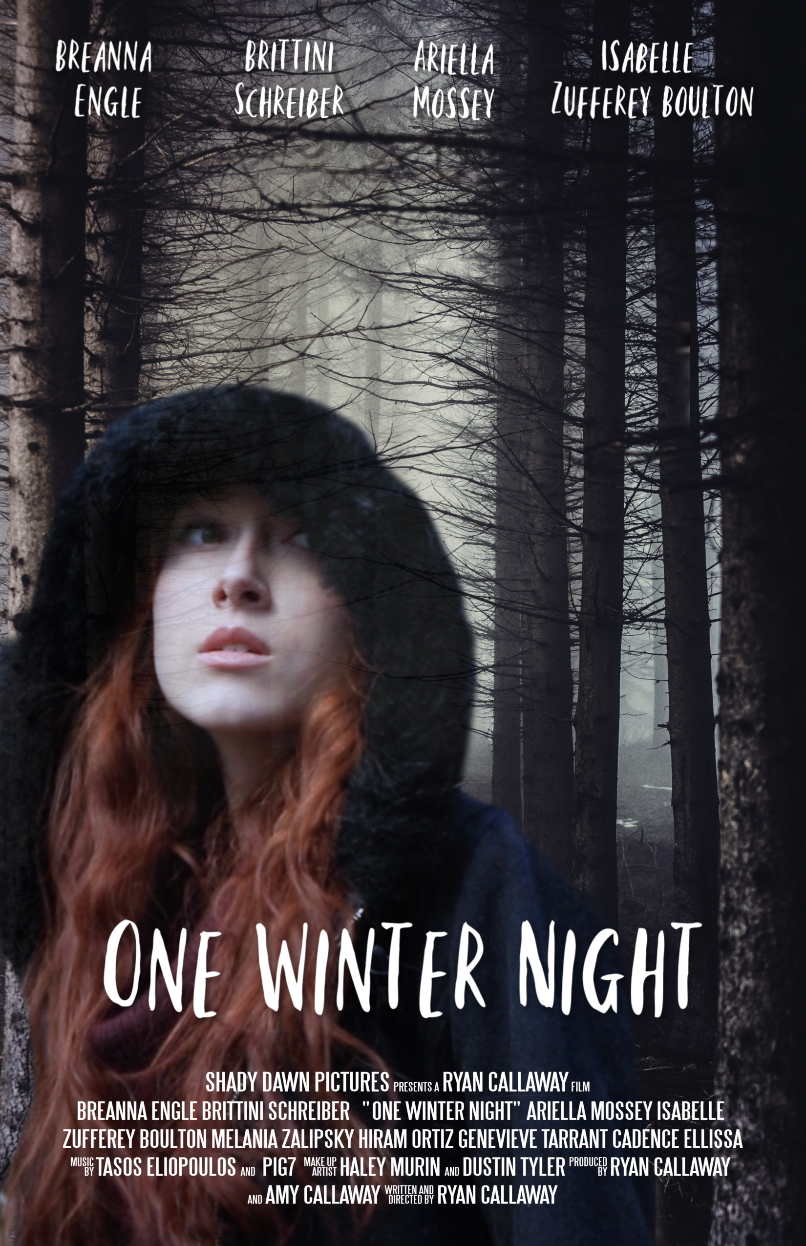 One Winter Night (2019) постер