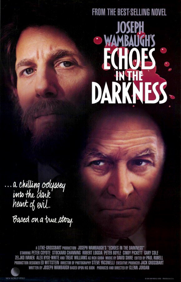Эхо в темноте (1987) постер