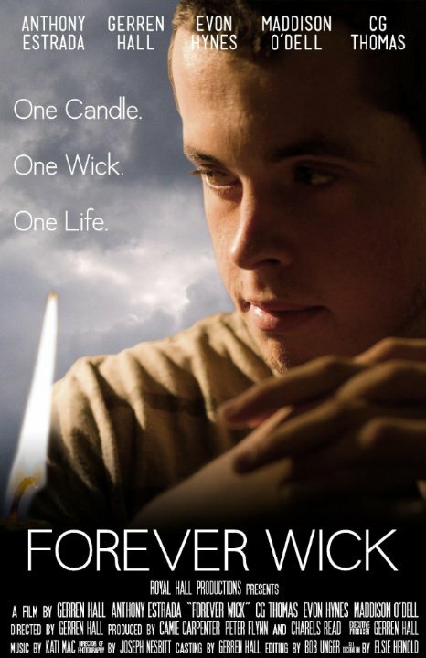 Forever Wick (2014) постер
