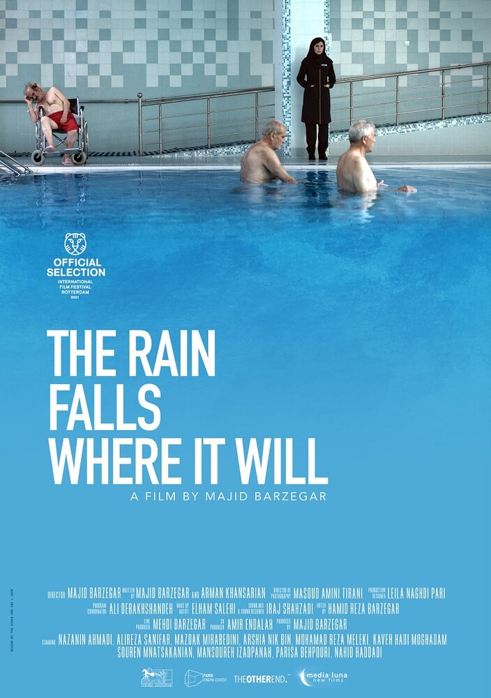 The Rain Falls Where it Will (2020) постер
