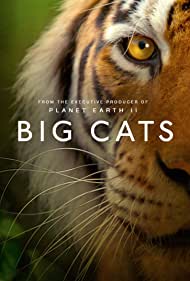 Big Cats (2018)